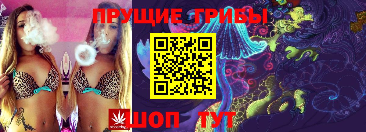 Кемерово  Галлюциногенные грибы прущие грибы  Вход с VPN  Галлюциногенные грибы Psilocybe 