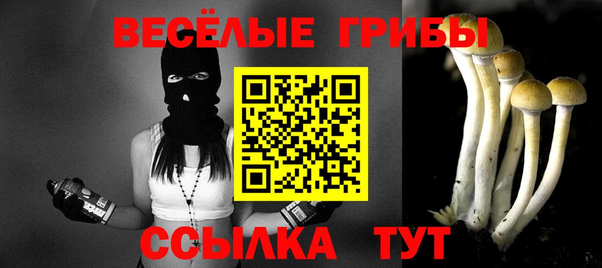 Псилоцибиновые грибы MAGIC MUSHROOMS Кемерово